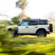 Image for article titled The Ford Bronco Everglades Is A $55,000 Ode To Florida